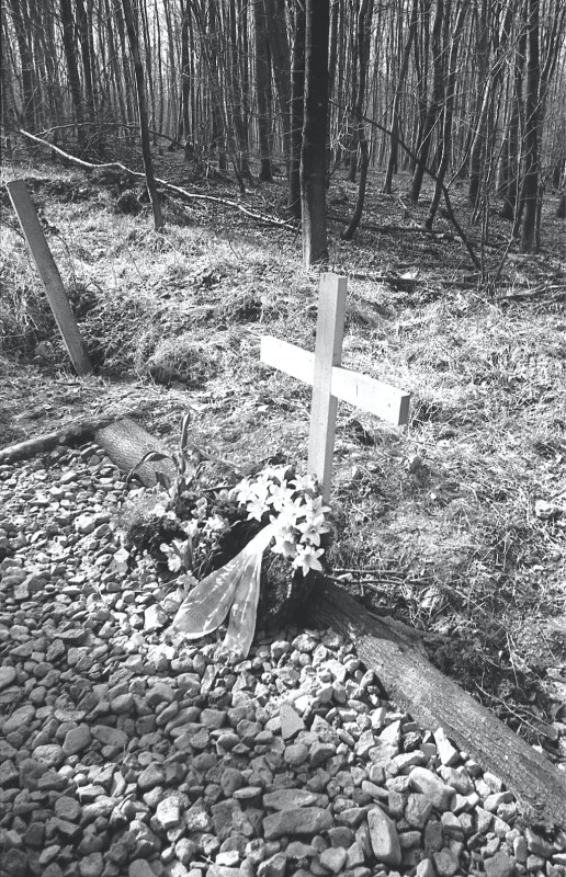 Provisorisches Holzkreuz als erstes Gedenkzeichen für die verstorbenen Speziallager-Insassen auf dem Gräberfeld I am Nordhang des Ettersberges bei Weimar, 31. März 1990. Foto: Joachim Siegert, Weimar
