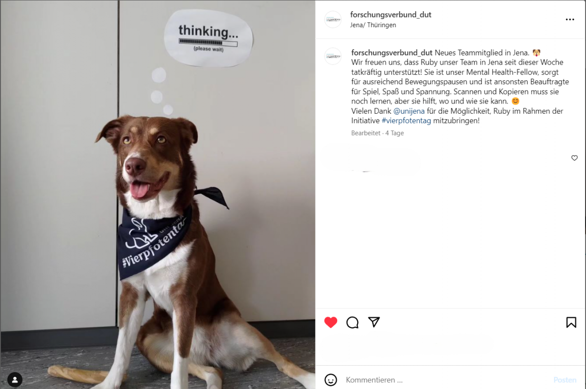 Beispielbild: Hund Ruby wird im Büro in der Friedrich-Schiller-Universität willkommen geheißen!
